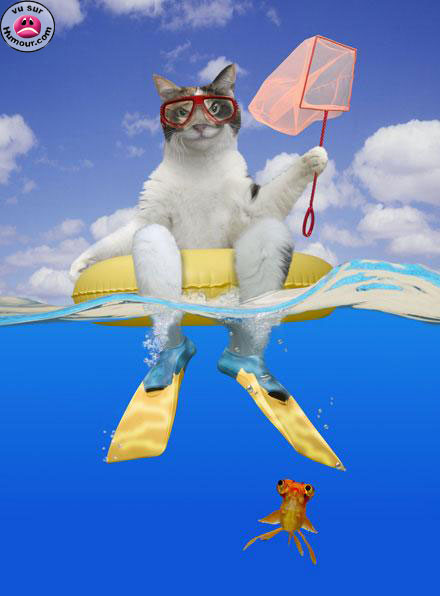 vacances